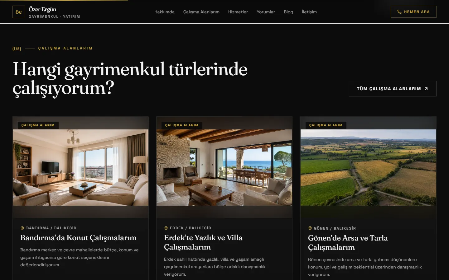 Screenshot of the Özer Ergün website 2
